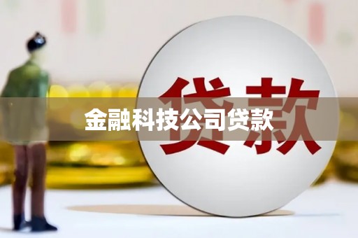 士林金融科技公司贷款