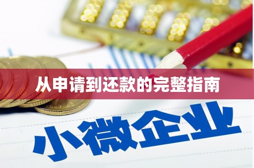馆陶从申请到还款的完整指南