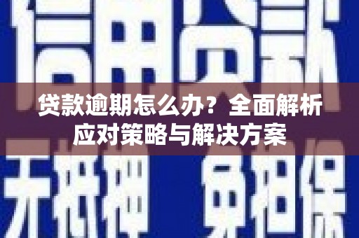 双清贷款逾期怎么办？全面解析应对策略与解决方案