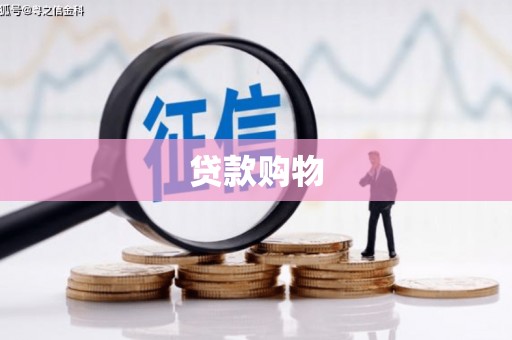 贞丰贷款购物