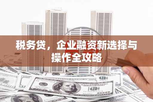 修文税务贷，企业融资新选择与操作全攻略