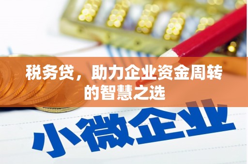 腾冲税务贷，助力企业资金周转的智慧之选
