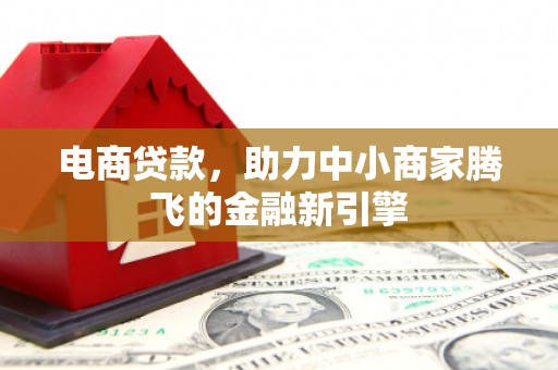杂多电商贷款，助力中小商家腾飞的金融新引擎