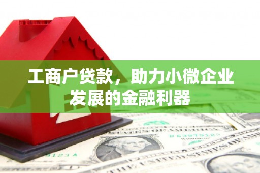 儋州工商户贷款，助力小微企业发展的金融利器