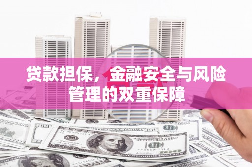 望城贷款担保，金融安全与风险管理的双重保障