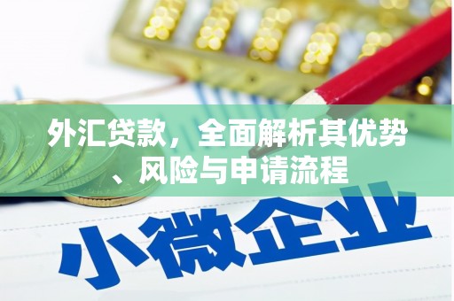 巴马外汇贷款，全面解析其优势、风险与申请流程