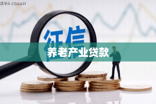 九江养老产业贷款