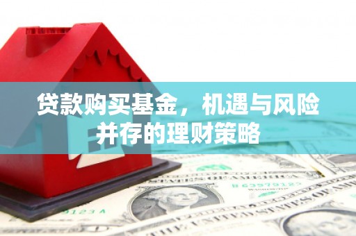 庄浪贷款购买基金，机遇与风险并存的理财策略