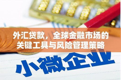 岱山外汇贷款，全球金融市场的关键工具与风险管理策略