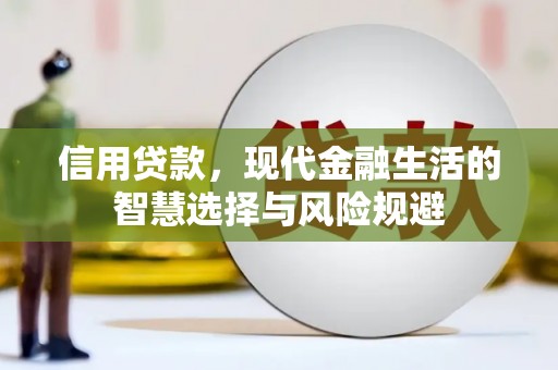 南陵信用贷款，现代金融生活的智慧选择与风险规避