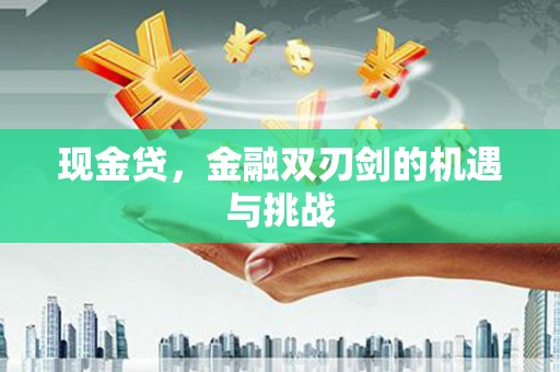 石鼓现金贷，金融双刃剑的机遇与挑战