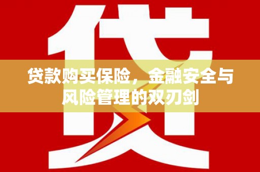 从化贷款购买保险，金融安全与风险管理的双刃剑