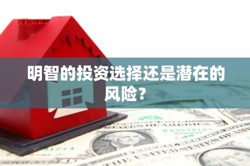 宣城明智的投资选择还是潜在的风险？