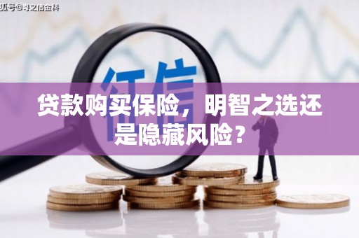 靖西贷款购买保险，明智之选还是隐藏风险？