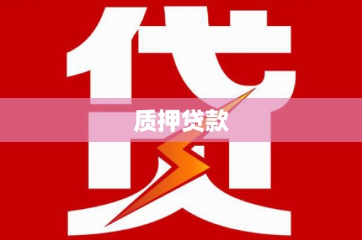 赫山质押贷款