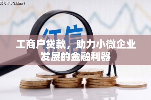 隆昌工商户贷款，助力小微企业发展的金融利器