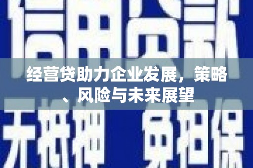 碌曲经营贷助力企业发展，策略、风险与未来展望