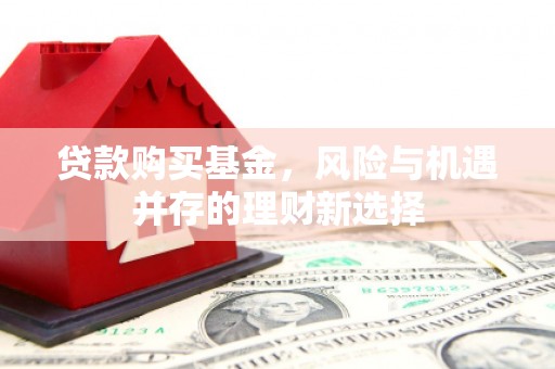 东丰贷款购买基金，风险与机遇并存的理财新选择