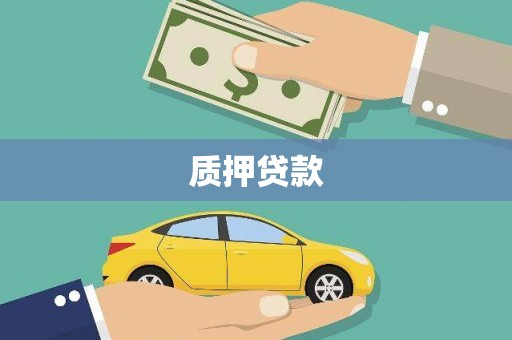 万丹质押贷款