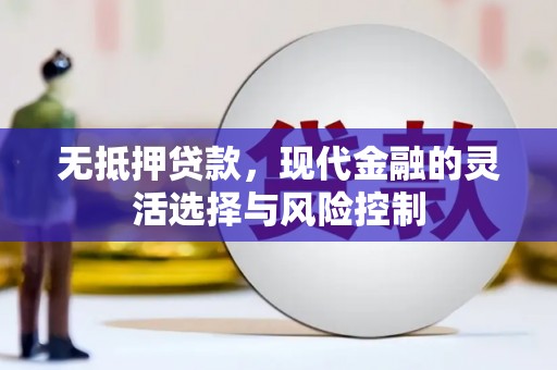 大丰无抵押贷款，现代金融的灵活选择与风险控制