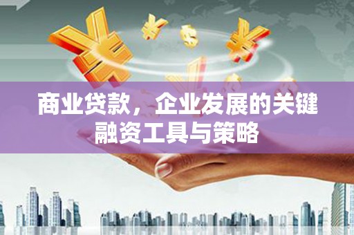 泰山商业贷款，企业发展的关键融资工具与策略