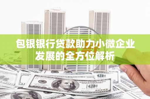 拉孜包银银行贷款助力小微企业发展的全方位解析