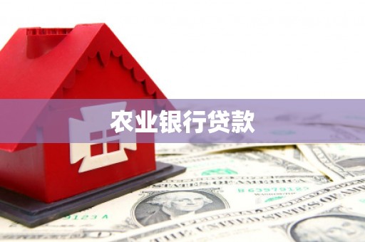 北仑农业银行贷款