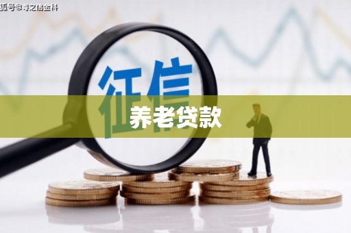 南城养老贷款