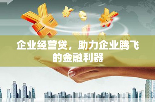 麦积企业经营贷，助力企业腾飞的金融利器