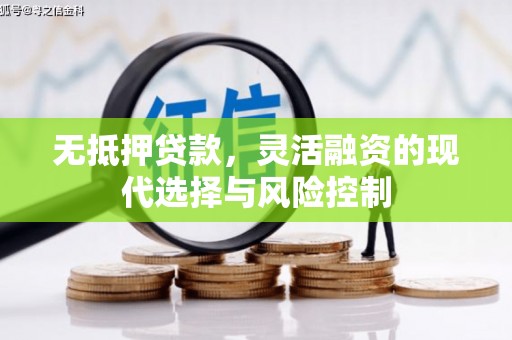 汉川无抵押贷款，灵活融资的现代选择与风险控制