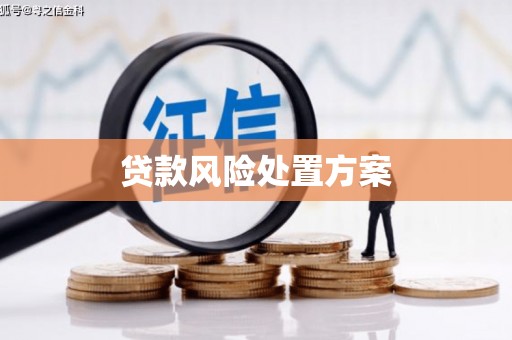 庄浪贷款风险处置方案