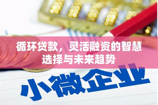 三水循环贷款，灵活融资的智慧选择与未来趋势