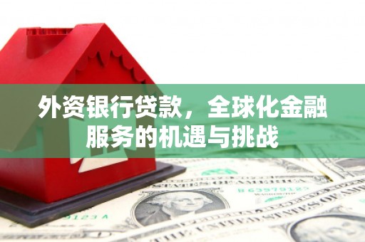 成武外资银行贷款，全球化金融服务的机遇与挑战