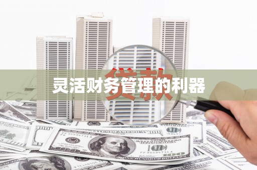 闸北灵活财务管理的利器