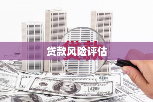 八德贷款风险评估