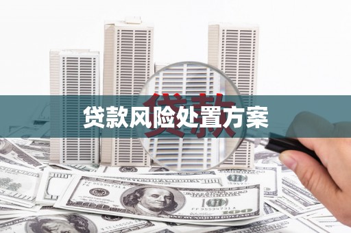 威宁贷款风险处置方案