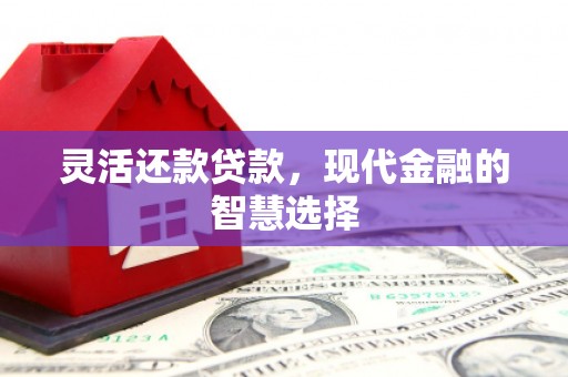 成安灵活还款贷款，现代金融的智慧选择