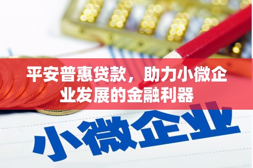 吐鲁番平安普惠贷款，助力小微企业发展的金融利器