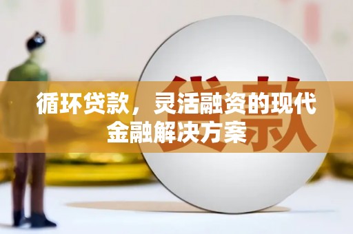 芦洲循环贷款，灵活融资的现代金融解决方案