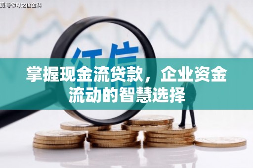 柳州掌握现金流贷款，企业资金流动的智慧选择