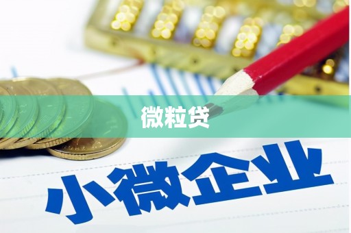 双城微粒贷