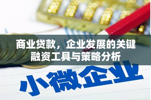 灌南商业贷款，企业发展的关键融资工具与策略分析