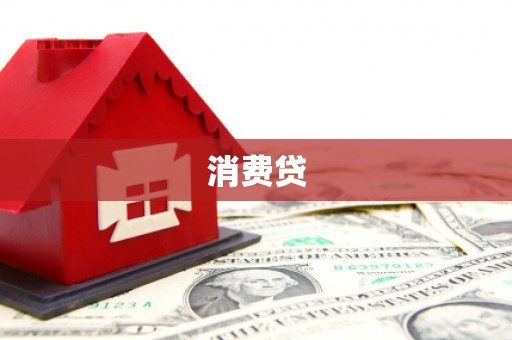 保税港区消费贷