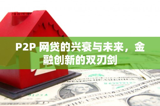 永善P2P 网贷的兴衰与未来，金融创新的双刃剑