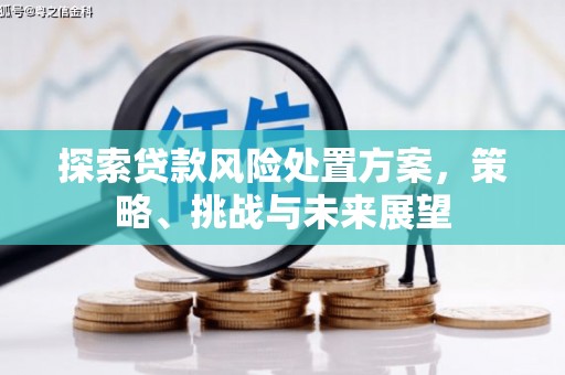 平南探索贷款风险处置方案，策略、挑战与未来展望