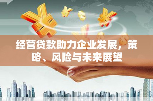 南陵经营贷款助力企业发展，策略、风险与未来展望