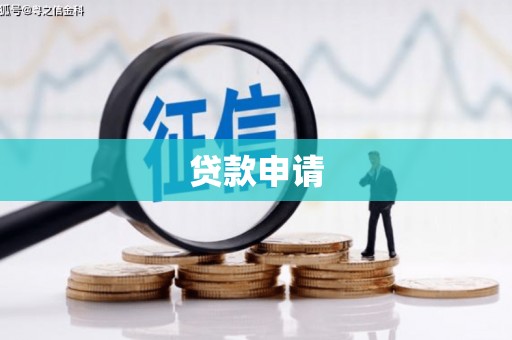芦山贷款申请