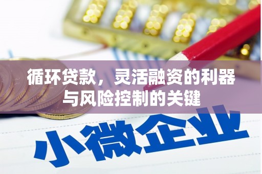 伊宁循环贷款，灵活融资的利器与风险控制的关键
