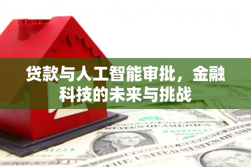 西畴贷款与人工智能审批，金融科技的未来与挑战