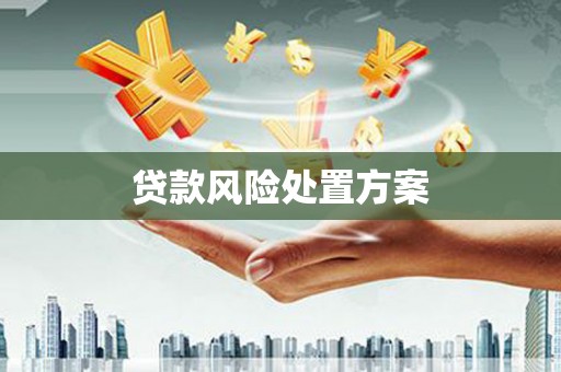 海曙贷款风险处置方案
